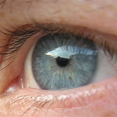 Загадка что видно если ничего не видно. Смотреть фото Загадка что видно если ничего не видно. Смотреть картинку Загадка что видно если ничего не видно. Картинка про Загадка что видно если ничего не видно. Фото Загадка что видно если ничего не видно Загадка что видно если ничего не видно. Смотреть фото Загадка что видно если ничего не видно. Смотреть картинку Загадка что видно если ничего не видно. Картинка про Загадка что видно если ничего не видно. Фото Загадка что видно если ничего не видно