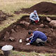 За археологическую находку могут оштрафовать