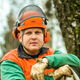 В Курске появился «спецназ» по борьбе с аварийными деревьями