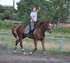 15-летняя Лиза Безъязыкова занималась конным спортом 15-летняя Лиза Безъязыкова занималась конным спортом
