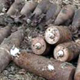 Курская область. Под Понырями нашли 46 мин и снарядов