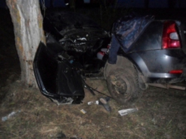 В Поныровском районе машина съехала в кювет и врезалась в дерево