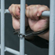 В Рыльском районе изъято 24 кило наркотиков
