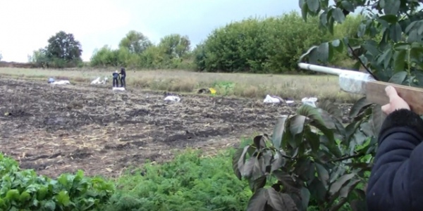 Мужчина и женщина погибли на огороде, когда копали картошку