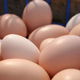 Куриные яйца: выбираем и храним правильно