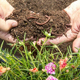 Биогумус: повышаем плодородие почвы