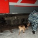 Курская область. В поезде «Кисловодск — Москва» пять часов искали бомбу