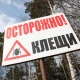 12 жителям Курской области поставлен диагноз «боррелиоз»