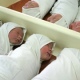 В первый день нового года в Курске родились 16 малышей