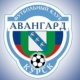 В «Авангарде» (Курск) на просмотре несколько новичков