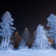 Куряне пережили самую холодную ночь года. Предстоящая ночь обещает быть не менее суровой
