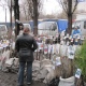 В Курске торговали сомнительными саженцами и розами