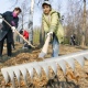 Жителей Курска зовут на субботник