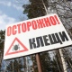 274 курянина пострадали от укусов клещей