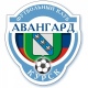 «Авангард» (Курск) играет в Выксе