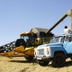 Курские аграрии намолотили первый миллион тонн зерна