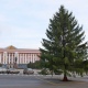 В Курске установили главную елку