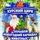 В курском цирке Дед Мороз оседлает верблюда
