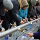 Курский Роспотребнадзор не рекомендует хранить крещенскую воду в одноразовых бутылках