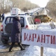 В Курской области действуют карантинные посты из-за АЧС