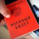 Во время осенней призывной кампании в Курской области разыскали 178 уклонистов