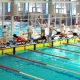 Курские пловцы «озолотились» на первенстве и чемпионате ЦФО