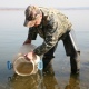 В водохранилище Курской АЭС выпустили 3 миллиона карпят