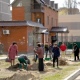 В Курчатове появился «Лес Победы»