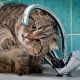 Со следующей недели в Курске начинаются отключения холодной воды