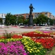 В Курске высадят 400 тысяч цветов