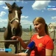 Наездница из Курска может выступить на Олимпиаде-2016 в Рио