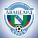 Курский «Авангард» может получить дюжину соперников