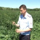 Курская область. В Щигровском районе сожгли 7 тонн конопли
