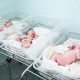 На какие выплаты могут рассчитывать куряне при рождении ребенка?