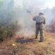 В Курске и районах установлен самый высокий V класс пожарной опасности