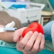 Сегодня в Курске проходит День донора