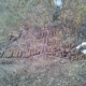 Курская область. В Поныровском районе обнаружили полторы сотни боеприпасов
