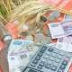 В Курской области повысили льготную налоговую ставку для сельхозпроизводителей