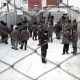 Курская прокуратура выявила нарушения в колонии