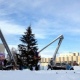 Курск. В городе убирают главные елки