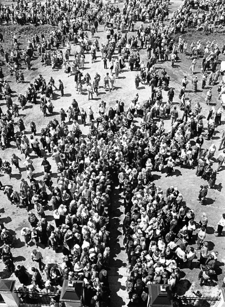 Г. Бодров. Дерево, 1986