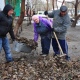 Завтра в Курске пройдет субботник