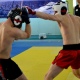 Курские борцы завоевали три «золота» на чемпионате ЦФО по панкратиону
