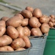 Продажи автомобилей в Курской области упали на 40%