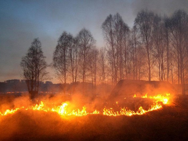 Из-за поджигателя травы часть Курска осталась без света и воды