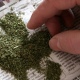 В Курске строитель торговал марихуаной