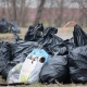 Курск. В Крутом логу собрали шесть тонн мусора
