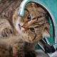 12 мая в Курске будут отключать холодную воду