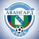Курский «Авангард» покинули десять игроков
