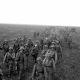 Начало войны в Курской области: воспоминания очевидцев